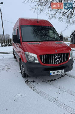 Вантажопасажирський фургон Mercedes-Benz Sprinter 2014 в Почаєві