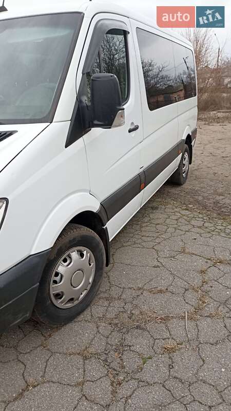 Мікроавтобус Mercedes-Benz Sprinter 2013 в Кривому Озері