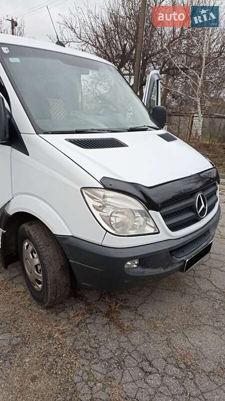 Мікроавтобус Mercedes-Benz Sprinter 2013 в Кривому Озері