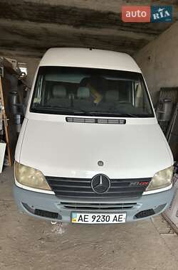 Вантажний фургон Mercedes-Benz Sprinter 2000 в Кривому Розі