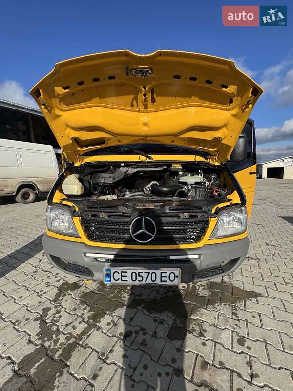 Микроавтобус Mercedes-Benz Sprinter 2006 в Черновцах