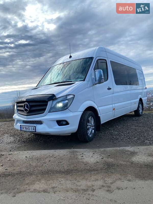 Микроавтобус Mercedes-Benz Sprinter 2015 в Долине