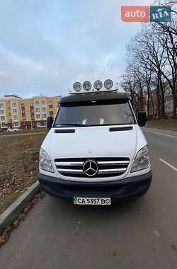 Інші автобуси Mercedes-Benz Sprinter 2007 в Святопетрівське