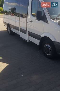 Другие автобусы Mercedes-Benz Sprinter 2010 в 