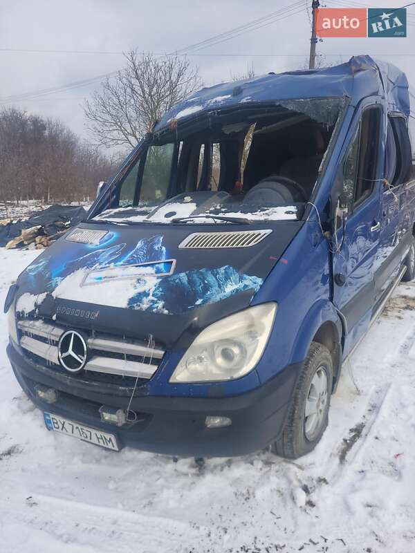 Микроавтобус Mercedes-Benz Sprinter 2010 в 