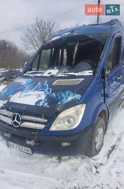Микроавтобус Mercedes-Benz Sprinter 2010 в 