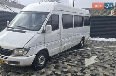 Микроавтобус Mercedes-Benz Sprinter 2003 в Николаеве