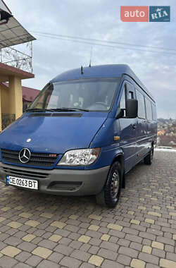 Грузопассажирский фургон Mercedes-Benz Sprinter 2004 в Черновцах