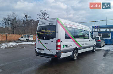 Туристический / Междугородний автобус Mercedes-Benz Sprinter 2013 в 