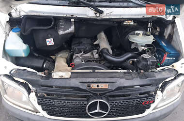 Грузопассажирский фургон Mercedes-Benz Sprinter 2006 в 