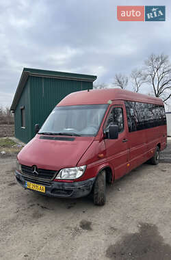 Микроавтобус Mercedes-Benz Sprinter 2002 в Днепре