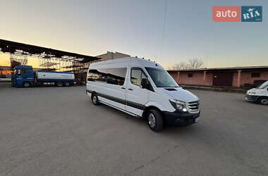 Микроавтобус Mercedes-Benz Sprinter 2017 в Березному