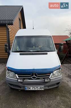Микроавтобус Mercedes-Benz Sprinter 2005 в 