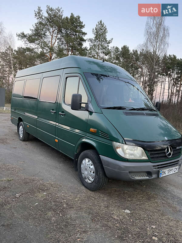 Микроавтобус Mercedes-Benz Sprinter 2004 в 