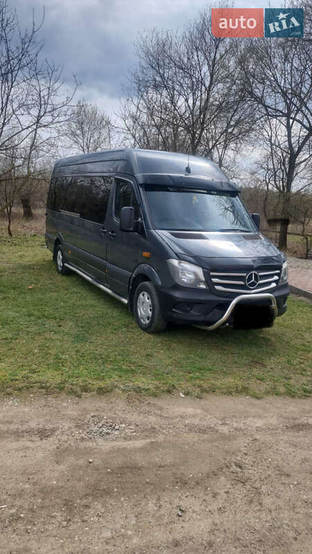 Другие автобусы Mercedes-Benz Sprinter 2013 в Ивано-Франковске