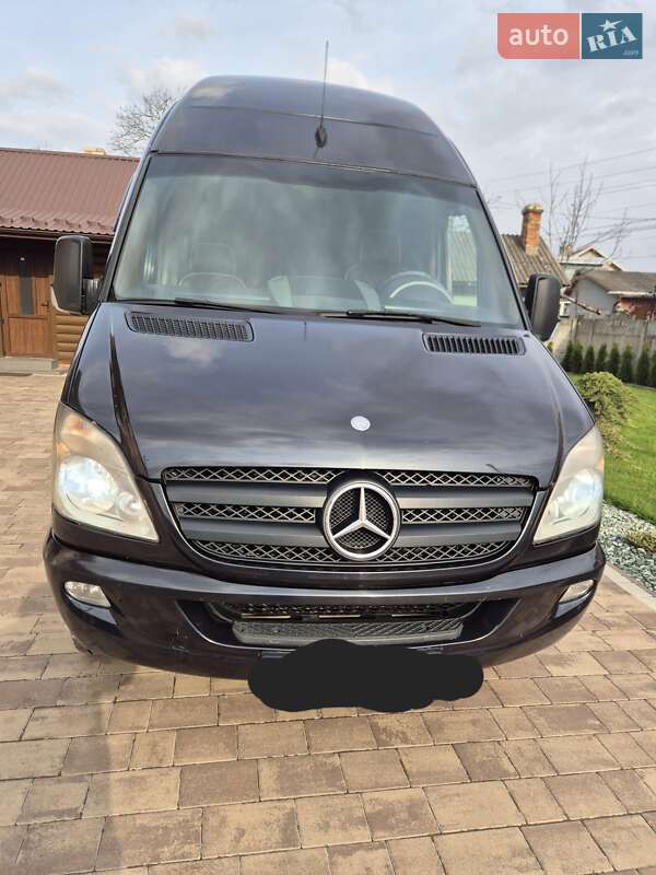 Микроавтобус Mercedes-Benz Sprinter 2009 в 