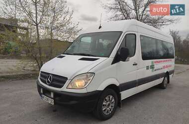 Микроавтобус Mercedes-Benz Sprinter 2010 в 
