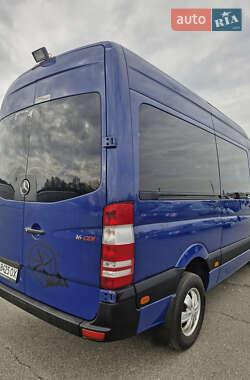 Микроавтобус Mercedes-Benz Sprinter 2013 в 