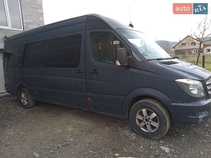 Микроавтобус Mercedes-Benz Sprinter 2009 в Межгорье
