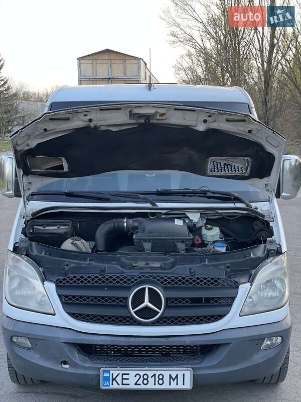Микроавтобус Mercedes-Benz Sprinter 2008 в Кривом Роге