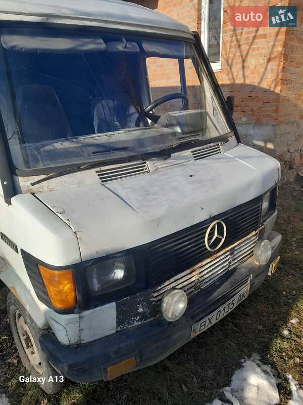 Мікроавтобус Mercedes-Benz Sprinter 1995 в Олевську
