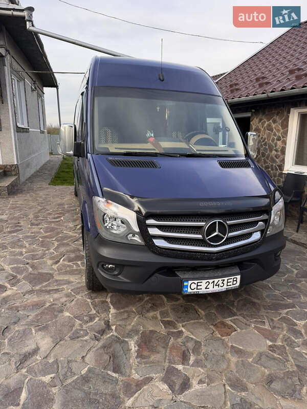 Микроавтобус Mercedes-Benz Sprinter 2014 в Снятине