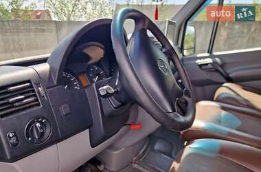 Другие автобусы Mercedes-Benz Sprinter 2010 в 