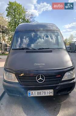 Микроавтобус Mercedes-Benz Sprinter 2003 в 