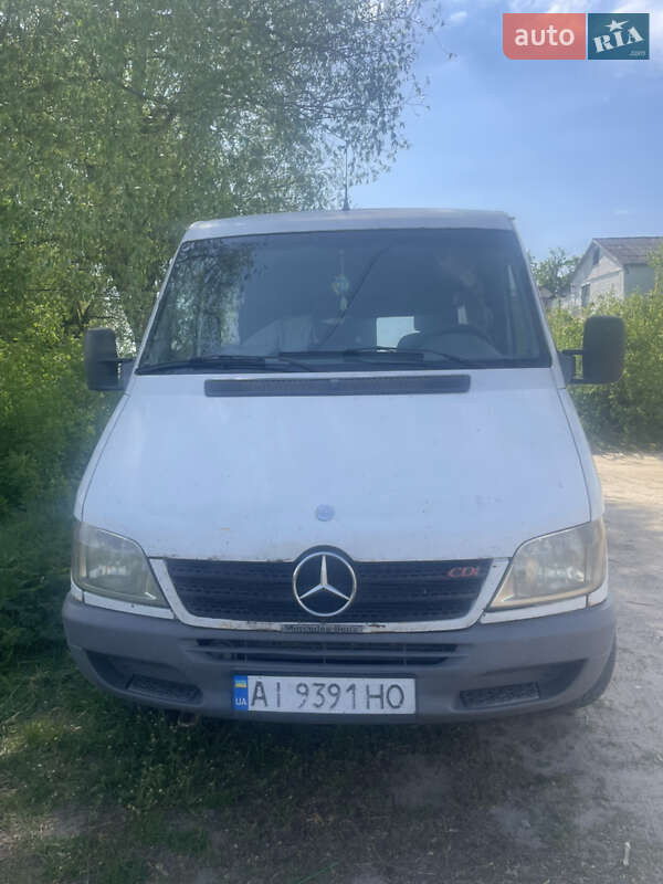 Микроавтобус Mercedes-Benz Sprinter 2003 в 