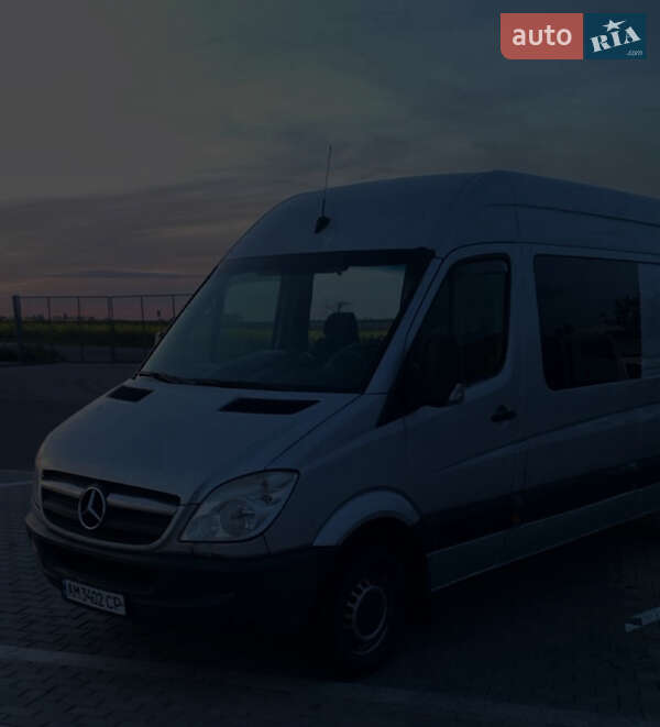Микроавтобус Mercedes-Benz Sprinter 2008 в 