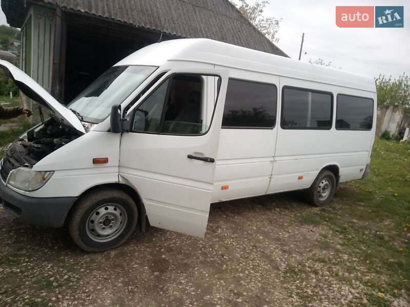 Микроавтобус Mercedes-Benz Sprinter 2000 в Городке