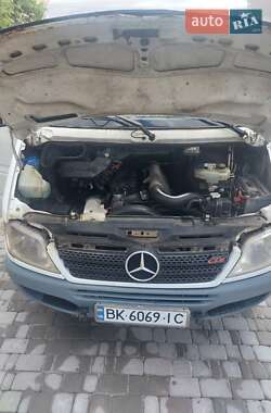 Мікроавтобус Mercedes-Benz Sprinter 2006 в 