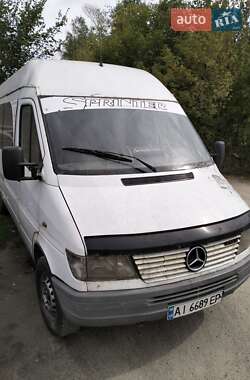 Микроавтобус Mercedes-Benz Sprinter 2000 в 