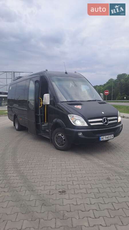 Туристический / Междугородний автобус Mercedes-Benz Sprinter 2012 в 