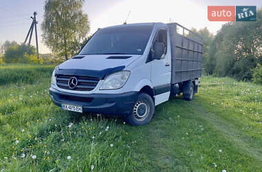 Для перевозки животных Mercedes-Benz Sprinter 2006 в Хмельницком
