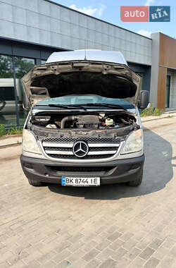 Мікроавтобус Mercedes-Benz Sprinter 2009 в 