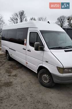 Микроавтобус Mercedes-Benz Sprinter 2000 в 
