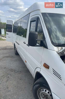Микроавтобус Mercedes-Benz Sprinter 2000 в 
