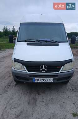 Грузопассажирский фургон Mercedes-Benz Sprinter 2004 в Маневичах