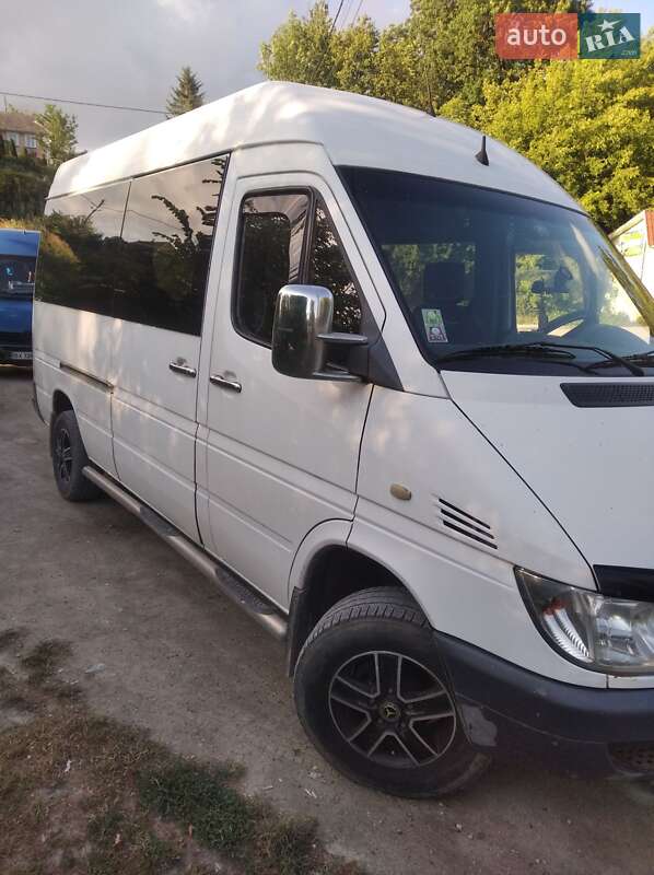 Микроавтобус Mercedes-Benz Sprinter 2003 в Городке