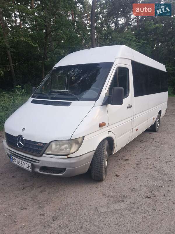 Микроавтобус Mercedes-Benz Sprinter 2005 в Бродах