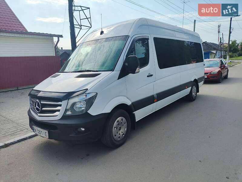 Микроавтобус Mercedes-Benz Sprinter 2014 в Рокитном