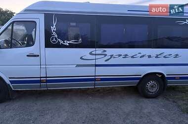Микроавтобус Mercedes-Benz Sprinter 2002 в 