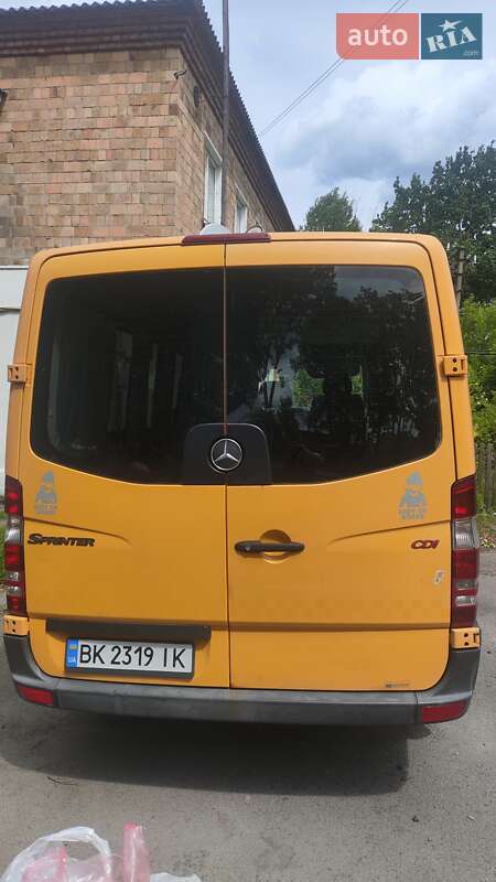 Микроавтобус Mercedes-Benz Sprinter 2010 в Костополе
