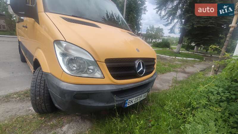 Микроавтобус Mercedes-Benz Sprinter 2010 в Костополе