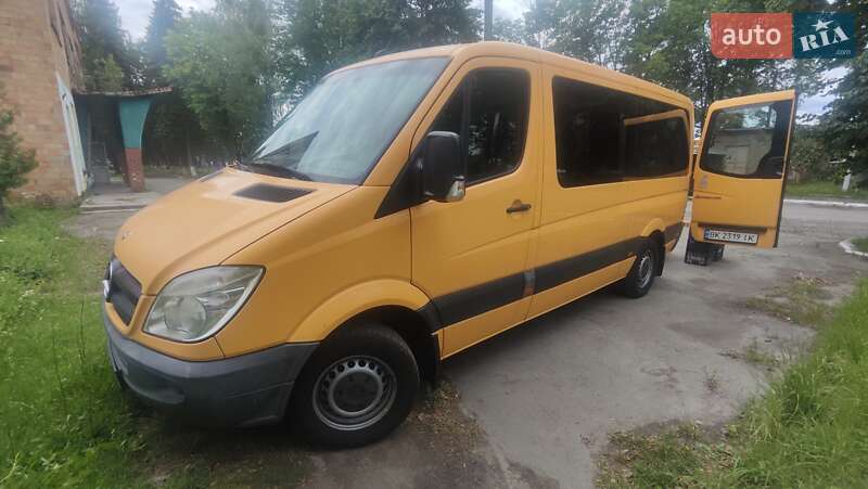Микроавтобус Mercedes-Benz Sprinter 2010 в Костополе