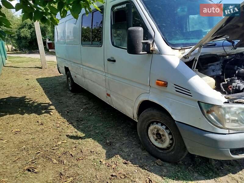 Грузопассажирский фургон Mercedes-Benz Sprinter 2004 в Кременчуге