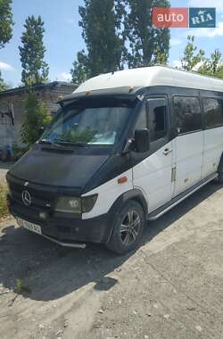 Микроавтобус Mercedes-Benz Sprinter 1996 в Днепре