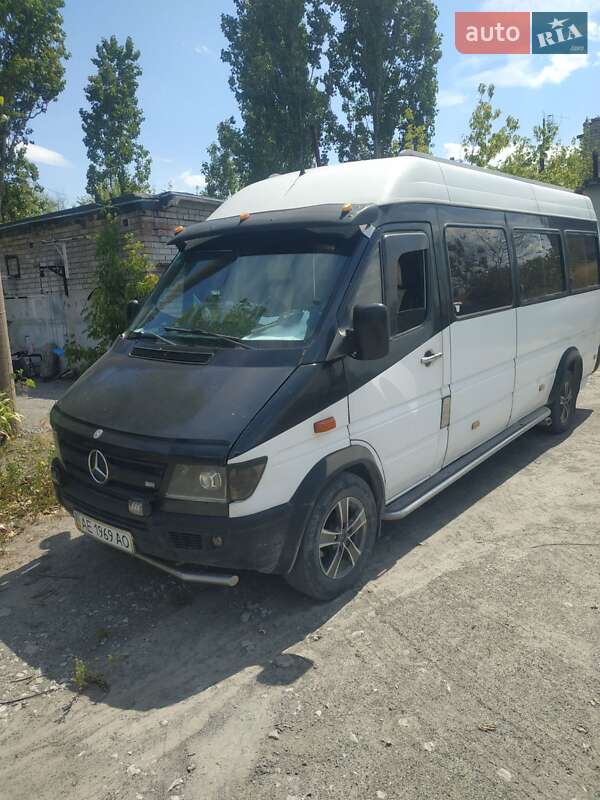 Микроавтобус Mercedes-Benz Sprinter 1996 в Днепре