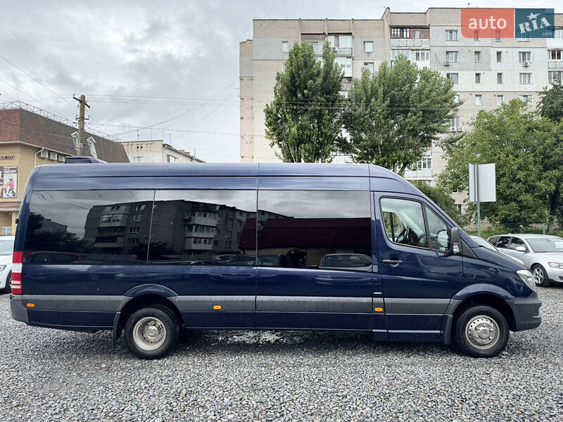 Другие автобусы Mercedes-Benz Sprinter 2016 в Бердичеве
